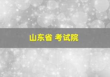 山东省 考试院